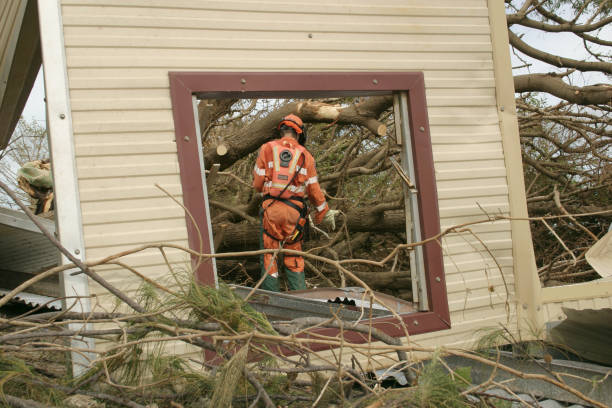 Professional Tree Care Services in Barton, NM